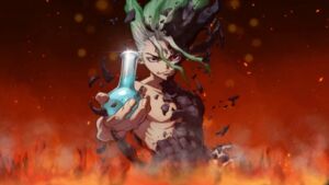 Dr. Stone